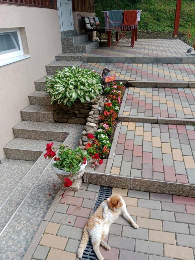 Cottage house Podobovets Εξωτερικό φωτογραφία